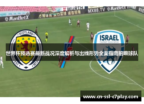 世界杯预选赛最新战况深度解析与出线形势全面指南前瞻球队